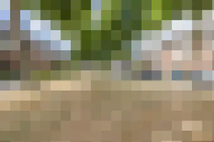 Bongelakker 56 A Rijen thumbnail 36