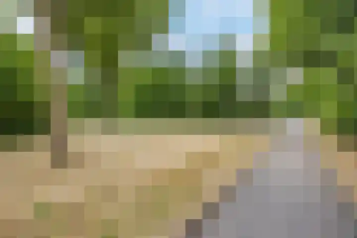Bongelakker 56 A Rijen thumbnail 37