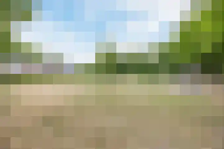 Bongelakker 56 A Rijen thumbnail 38
