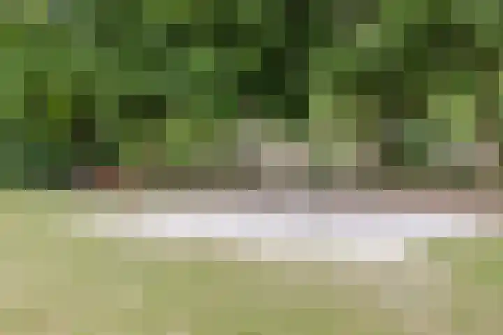 Bongelakker 56 A Rijen thumbnail 39