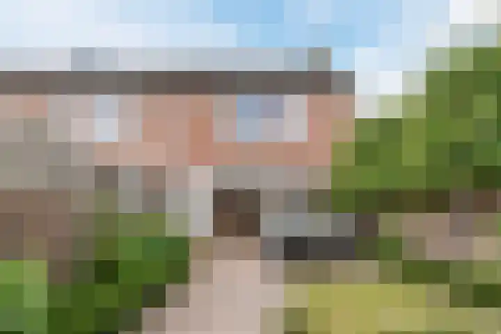 Bongelakker 56 A Rijen thumbnail 4