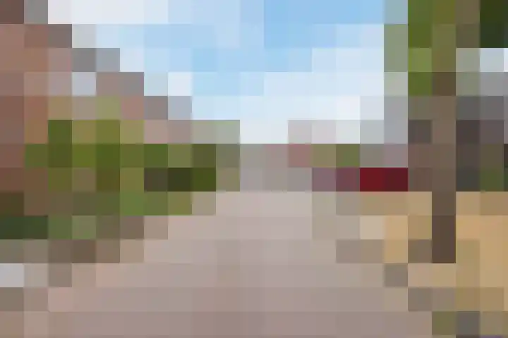 Bongelakker 56 A Rijen thumbnail 41