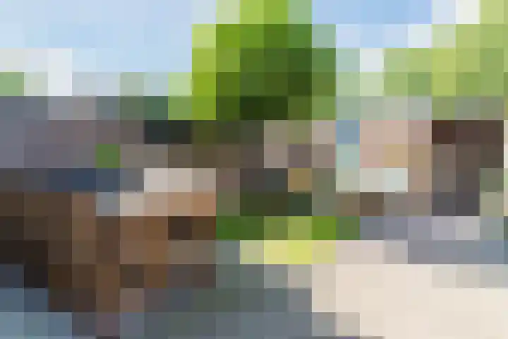 Bongelakker 80 Rijen thumbnail 16