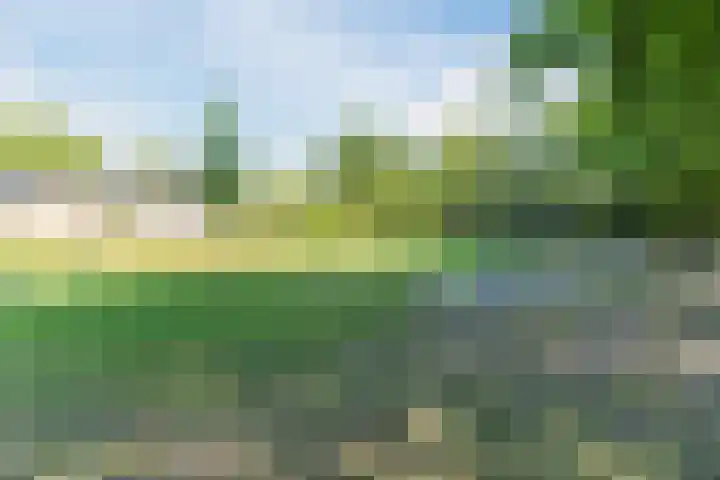 Bongelakker 80 Rijen thumbnail 39