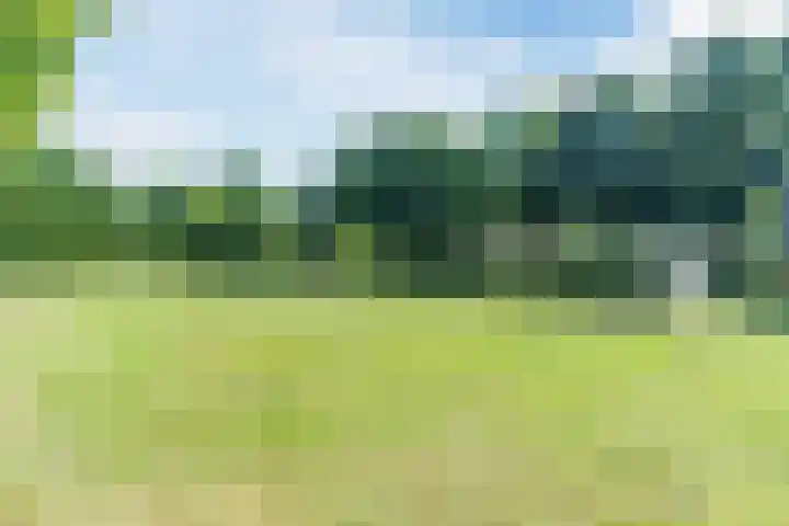 Bongelakker 80 Rijen thumbnail 42