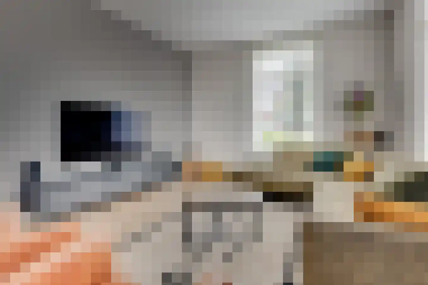 Bongenkamp 18 Aalten thumbnail 14