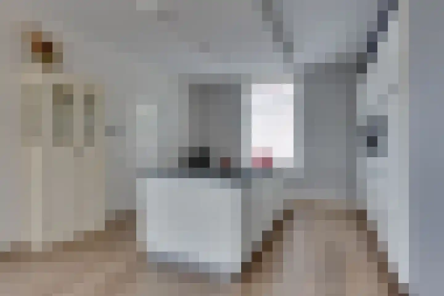 Bongenkamp 18 Aalten thumbnail 19