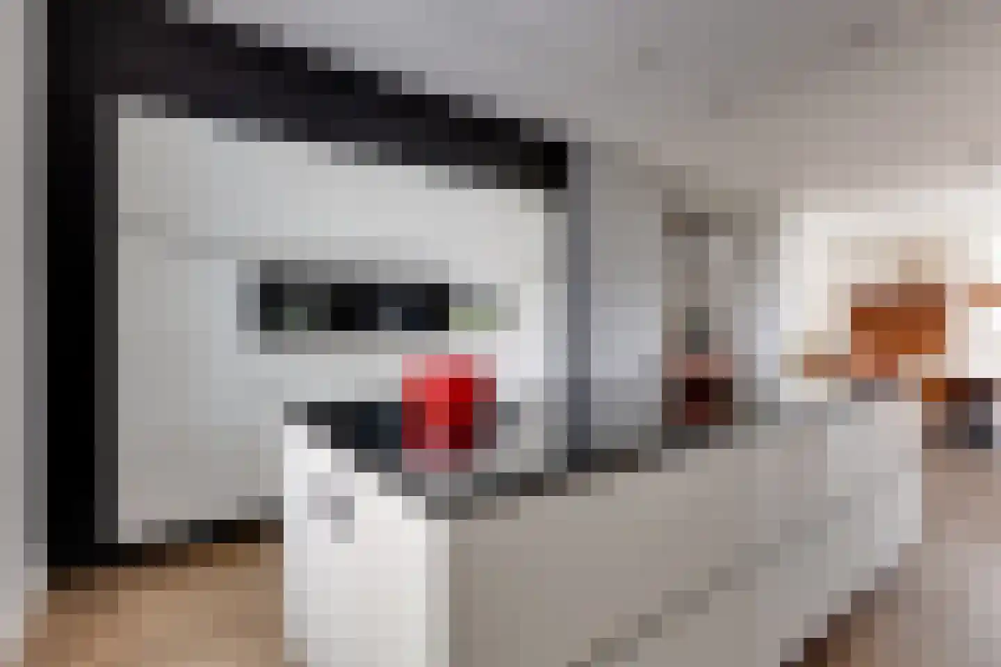 Bongenkamp 18 Aalten thumbnail 20