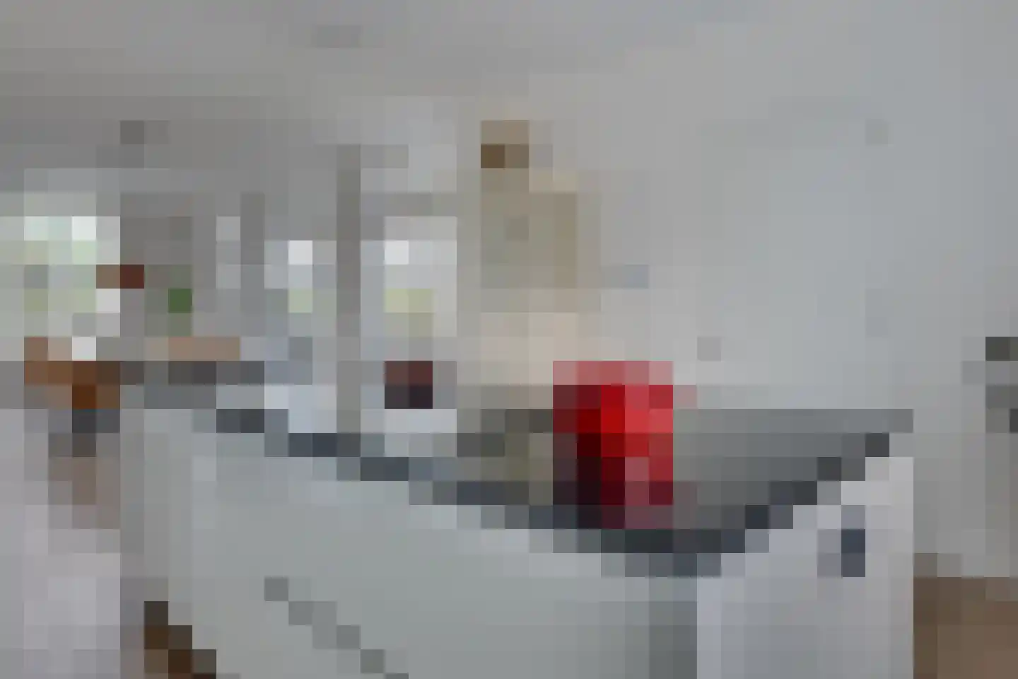 Bongenkamp 18 Aalten thumbnail 22
