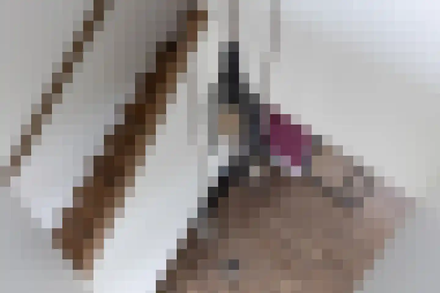 Bongenkamp 18 Aalten thumbnail 30