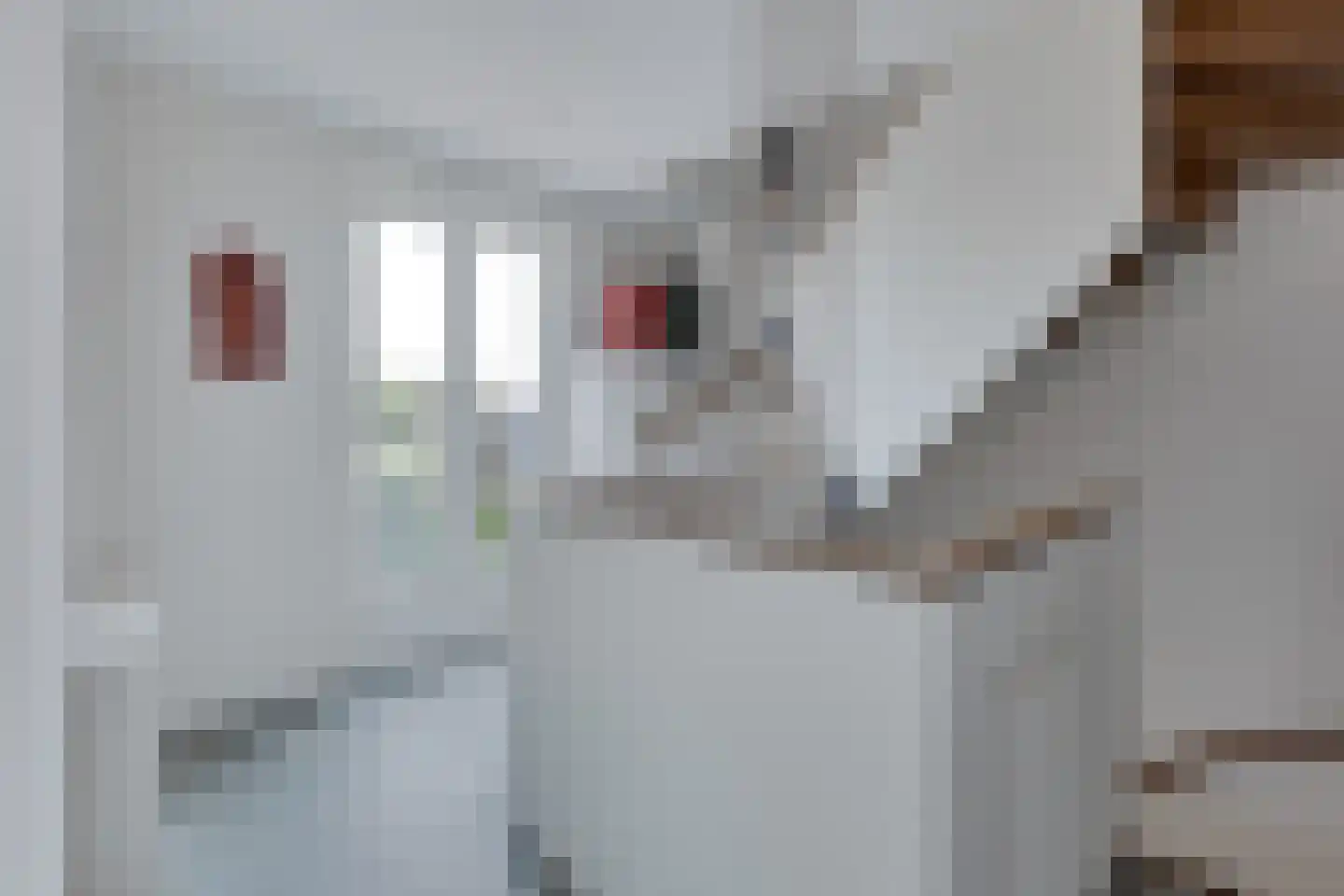 Bongenkamp 18 Aalten thumbnail 52