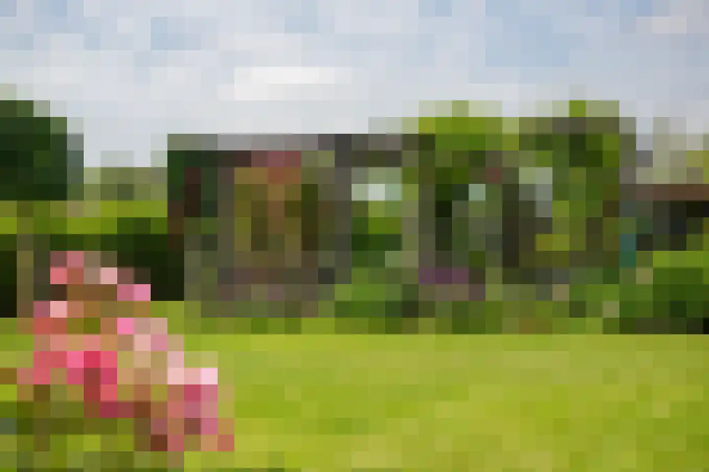 Bongenkamp 18 Aalten thumbnail 64