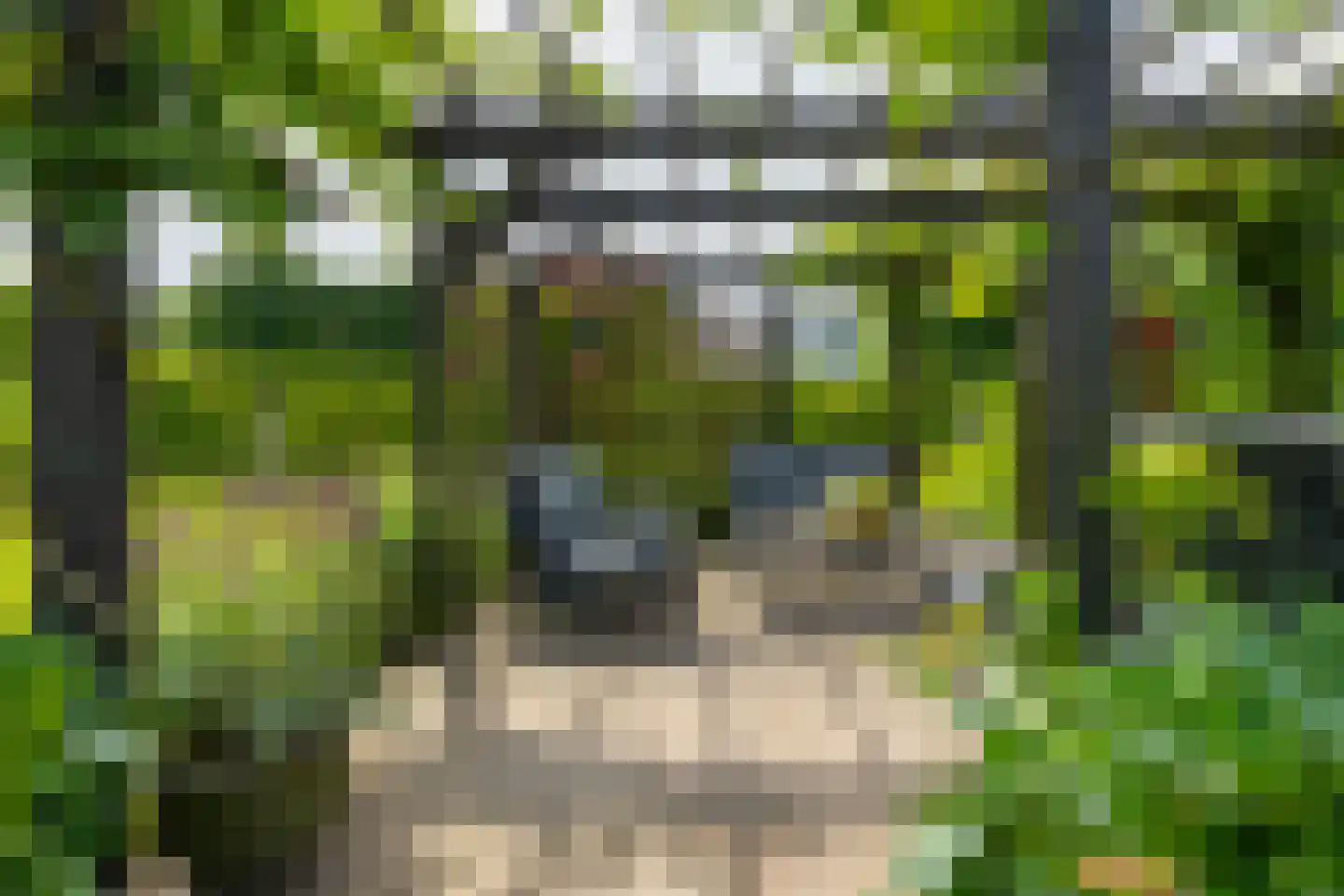 Bongenkamp 18 Aalten thumbnail 65