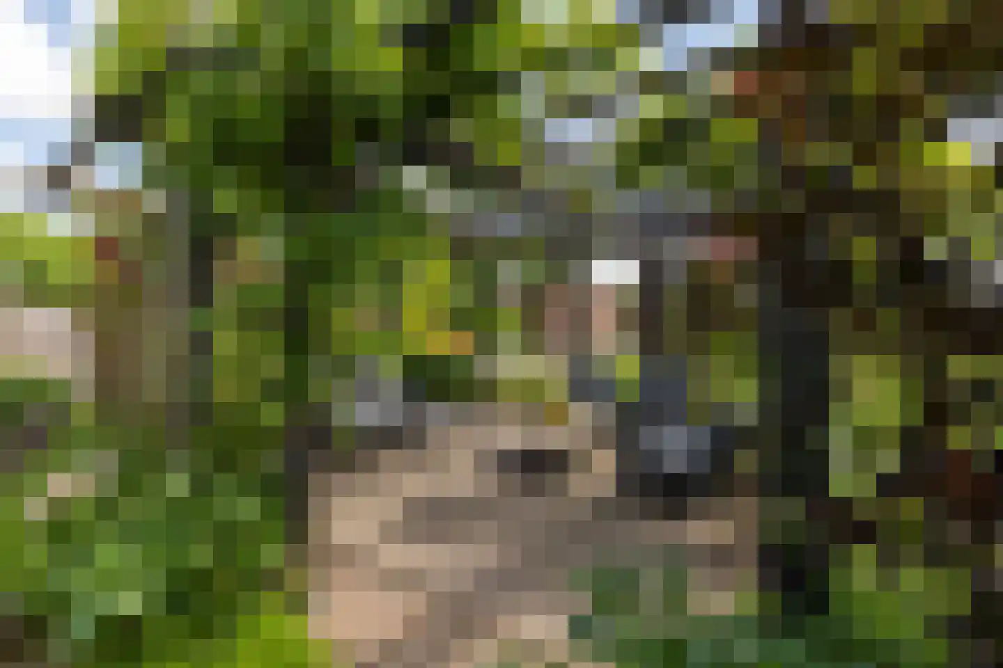 Bongenkamp 18 Aalten thumbnail 67