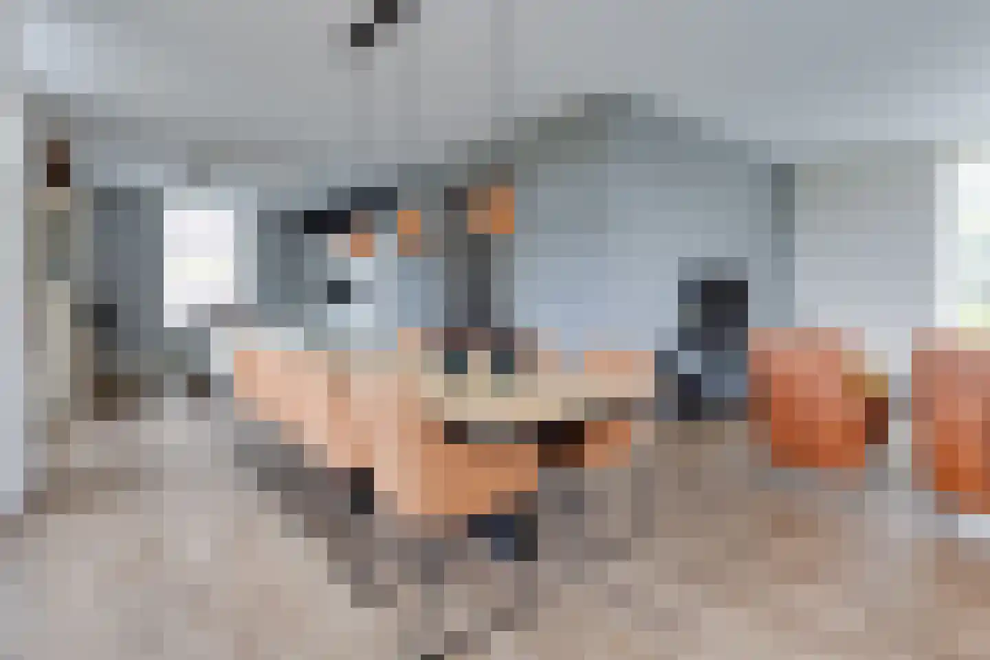 Bongenkamp 18 Aalten thumbnail 9