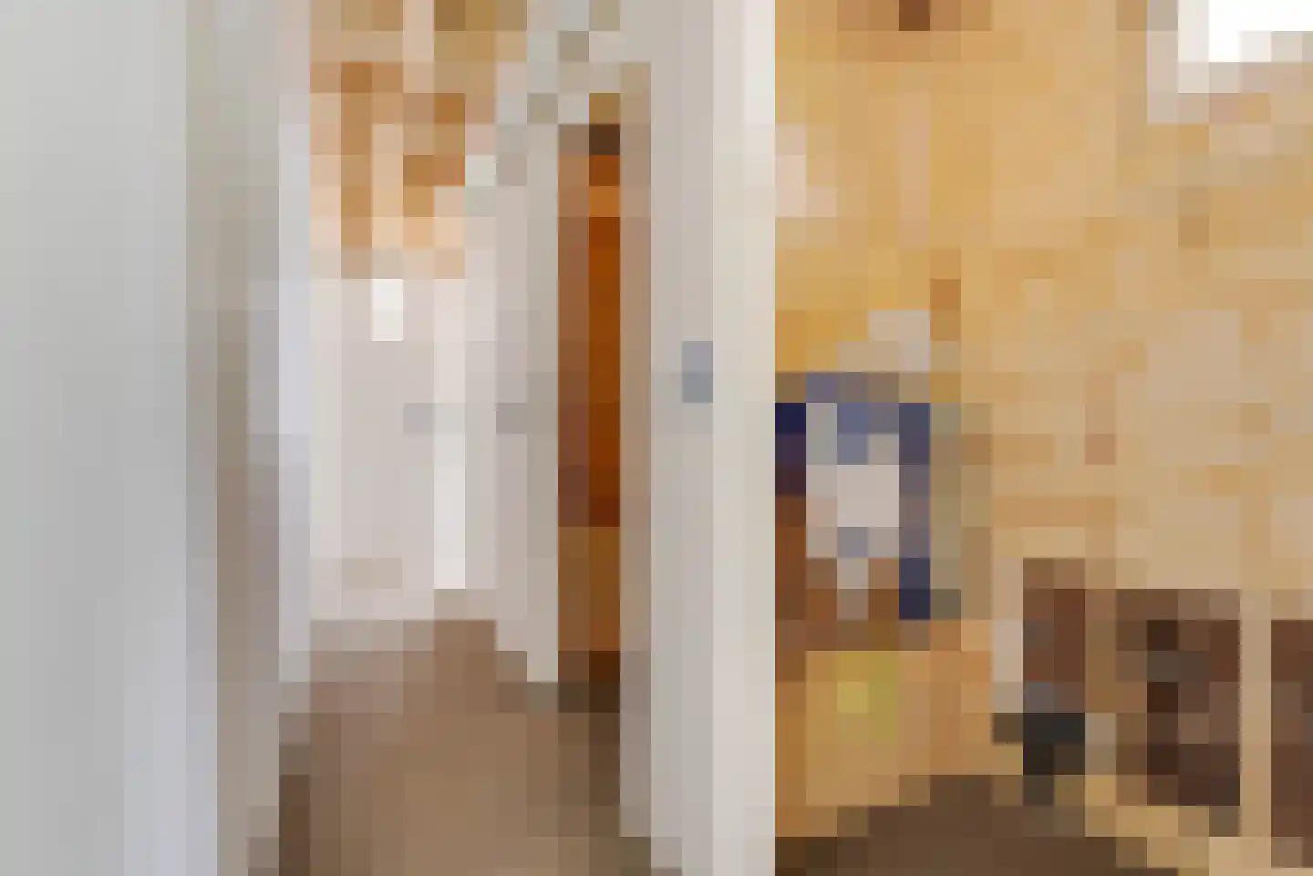 Bongerd 10 Aartswoud thumbnail 13