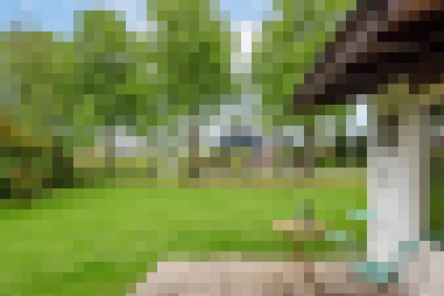 Bongerd 10 Aartswoud thumbnail 17