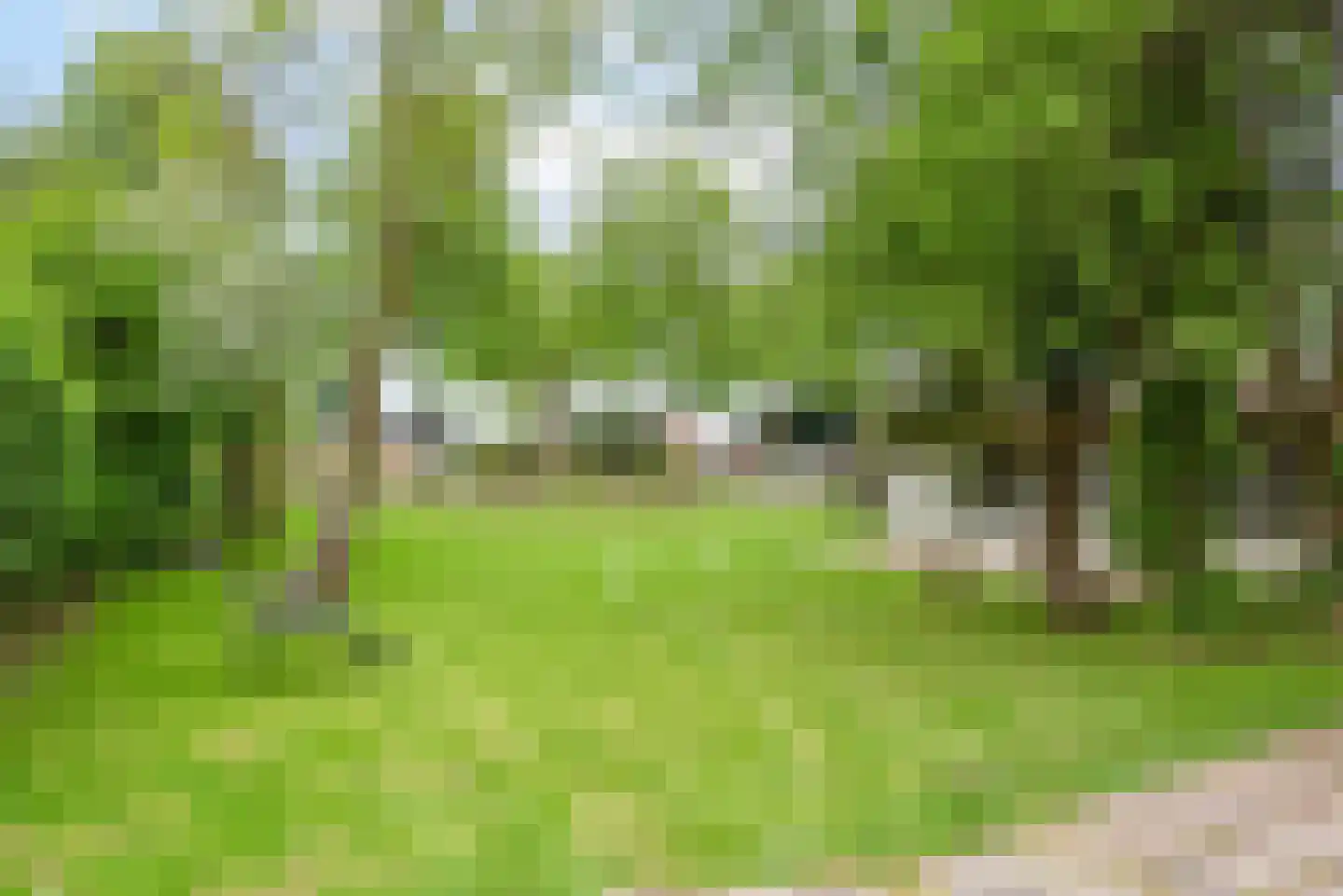 Bongerd 10 Aartswoud thumbnail 19