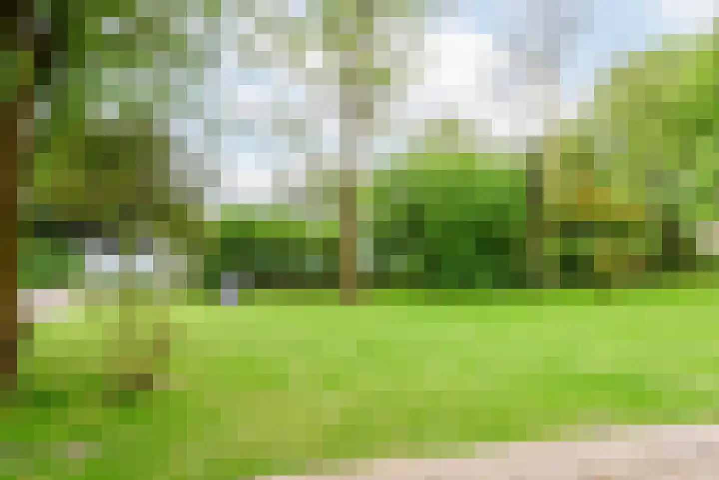 Bongerd 10 Aartswoud thumbnail 20