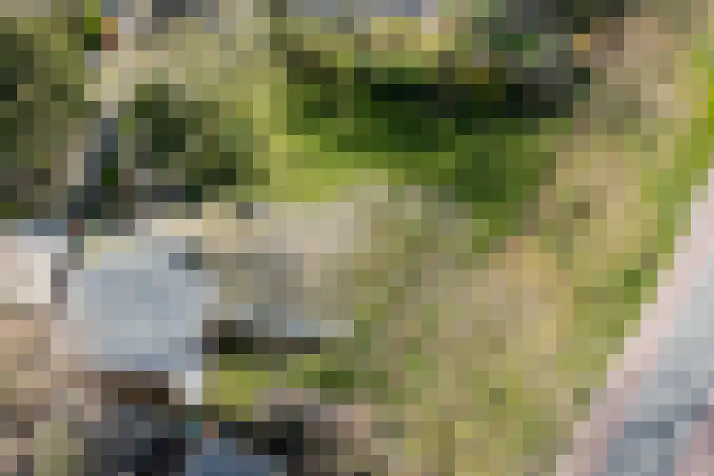 Bongerd 10 Aartswoud thumbnail 21