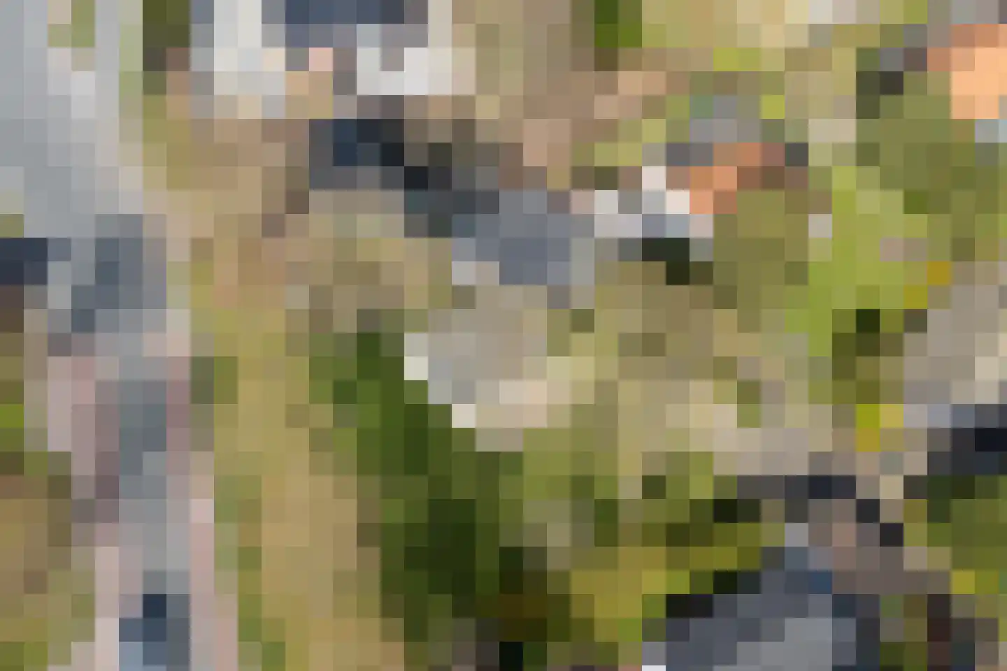 Bongerd 10 Aartswoud thumbnail 22