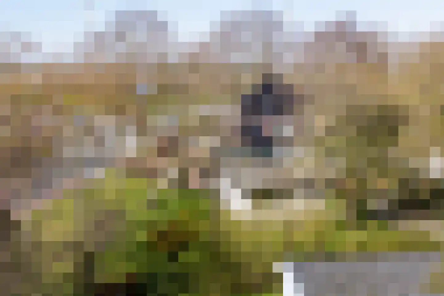 Bongerd 10 Aartswoud thumbnail 23