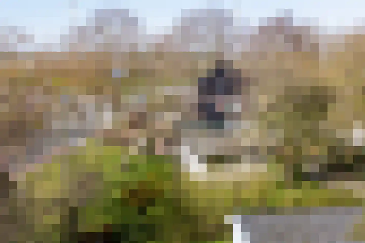 Bongerd 10 Aartswoud thumbnail 24