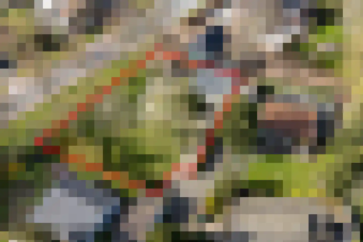 Bongerd 10 Aartswoud thumbnail 4