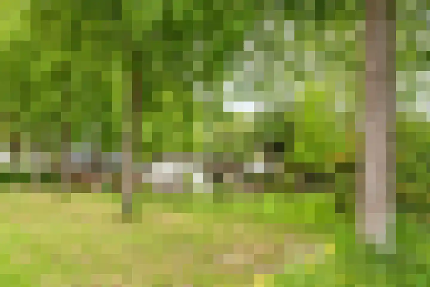 Bongerd 10 Aartswoud thumbnail 5