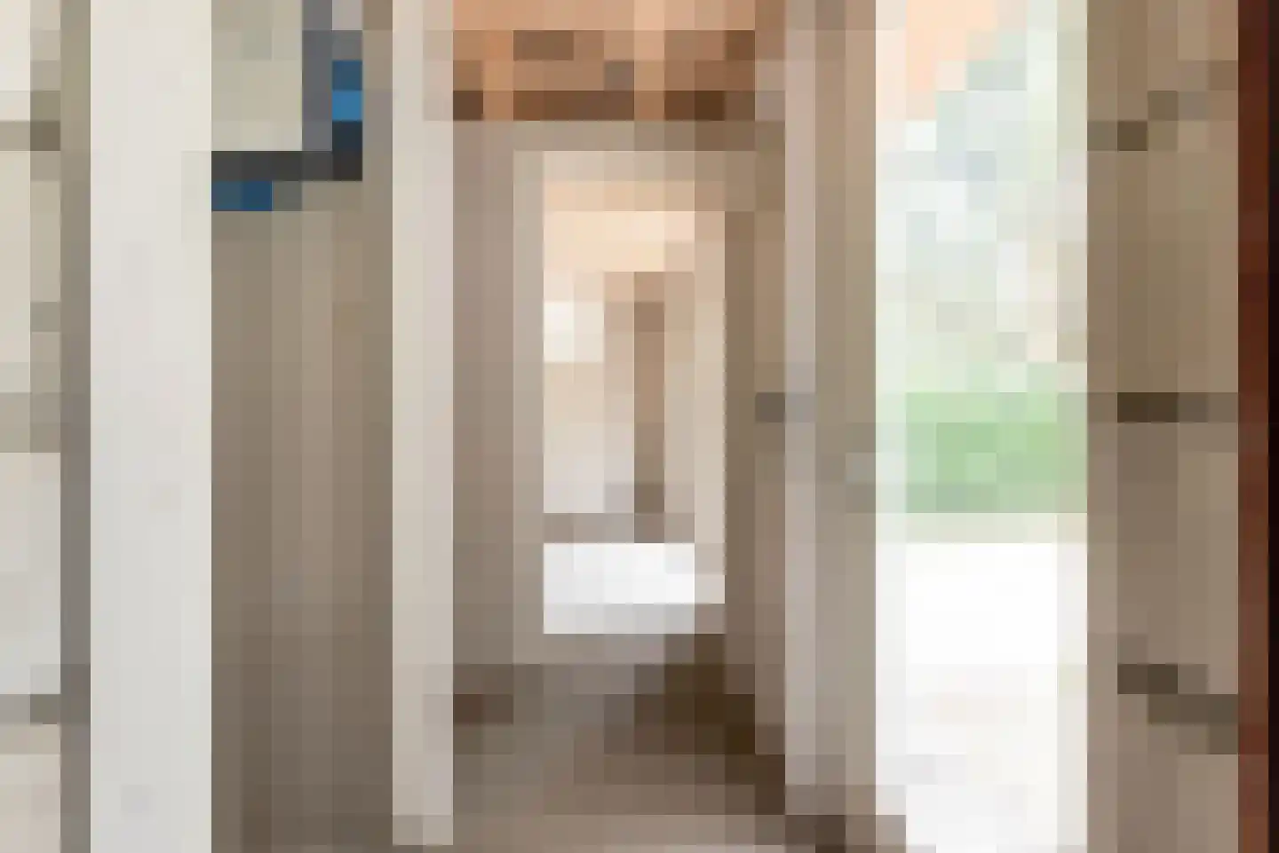 Bongerd 10 Aartswoud thumbnail 8