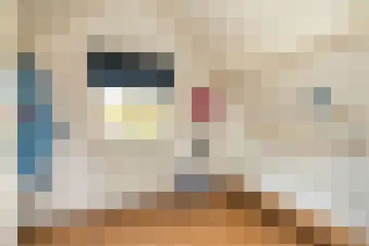 Bongerd 11 Renesse thumbnail 12