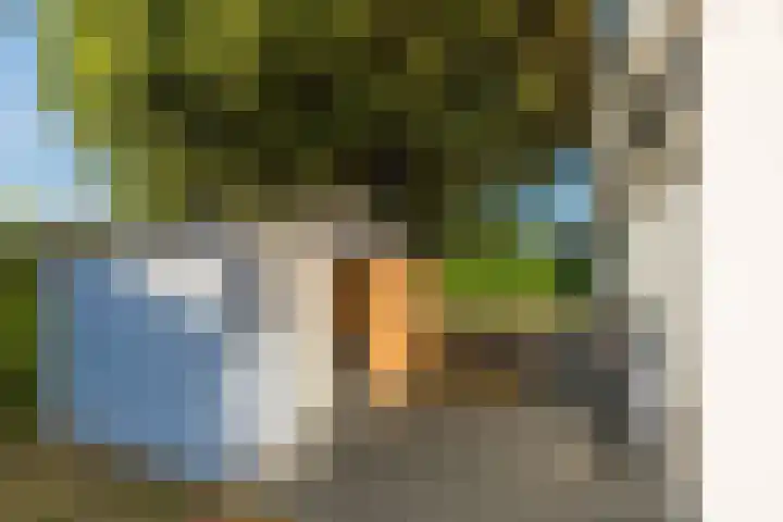 Bongerd 11 Renesse thumbnail 17