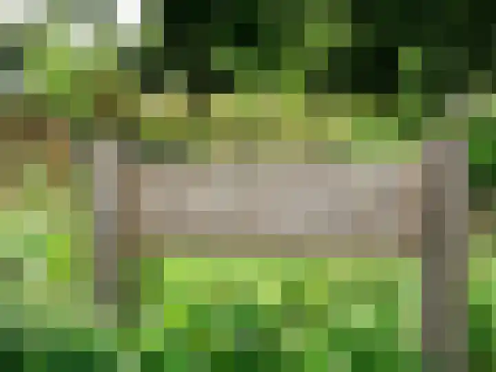 Bongerd 11 Renesse thumbnail 22