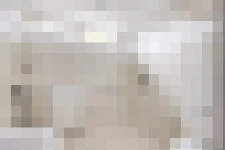 Bongerd 13 Hagestein thumbnail 15