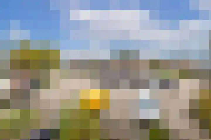 Bongerd 13 Hagestein thumbnail 19