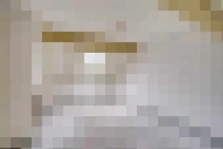Bongerd 13 Hagestein thumbnail 25