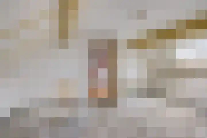 Bongerd 13 Hagestein thumbnail 27