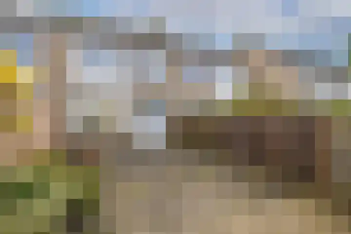 Bongerd 13 Hagestein thumbnail 29