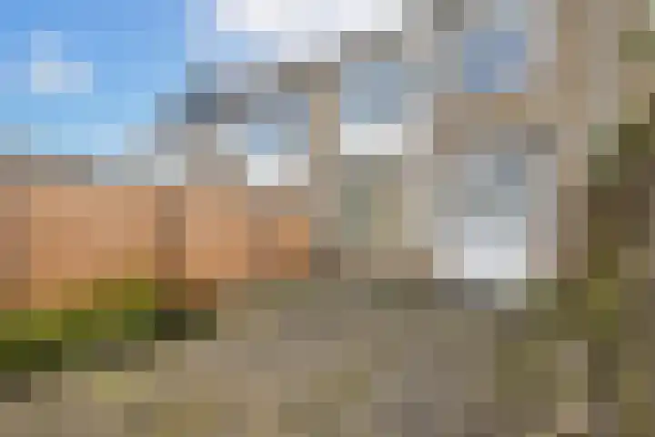 Bongerd 13 Hagestein thumbnail 30