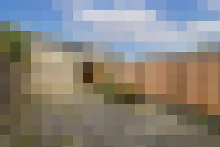 Bongerd 13 Hagestein thumbnail 31