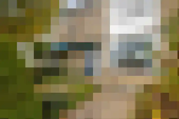 Bongerd 13 Hagestein thumbnail 34