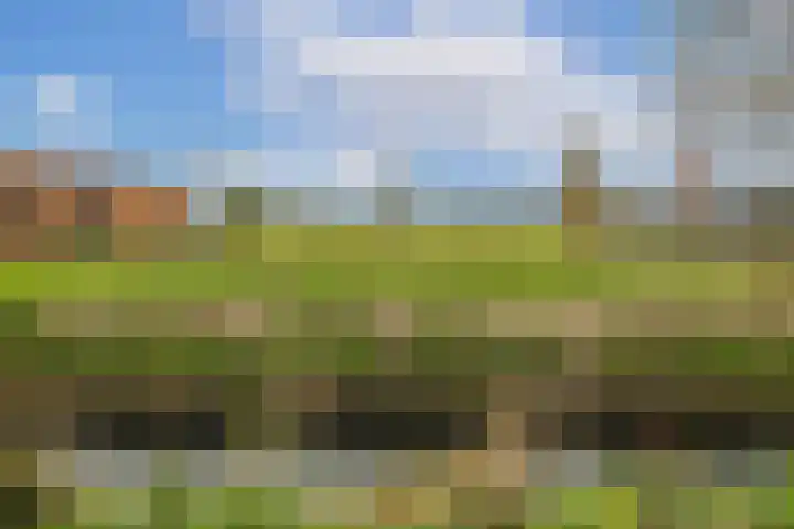 Bongerd 13 Hagestein thumbnail 38
