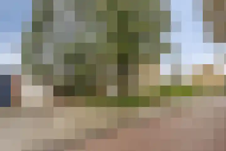 Bongerd 130 Lelystad thumbnail 28