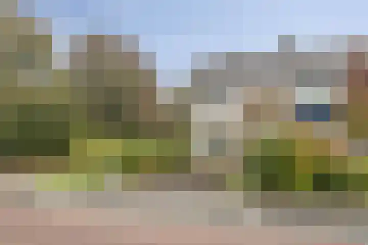 Bongerd 130 Lelystad thumbnail 29