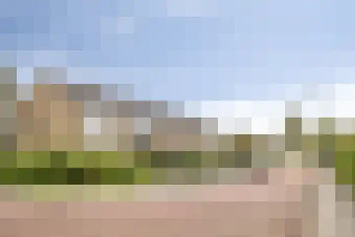 Bongerd 130 Lelystad thumbnail 30