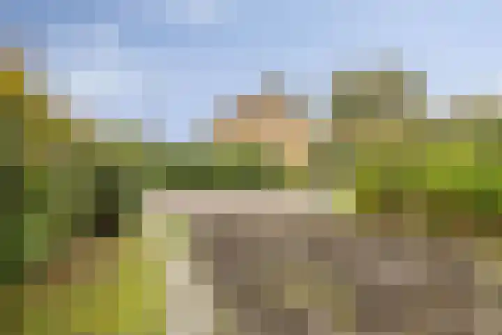 Bongerd 130 Lelystad thumbnail 5