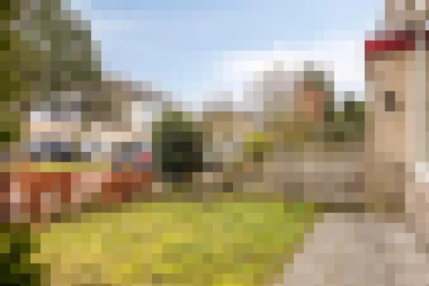 Bongerd 144 Lelystad thumbnail 27