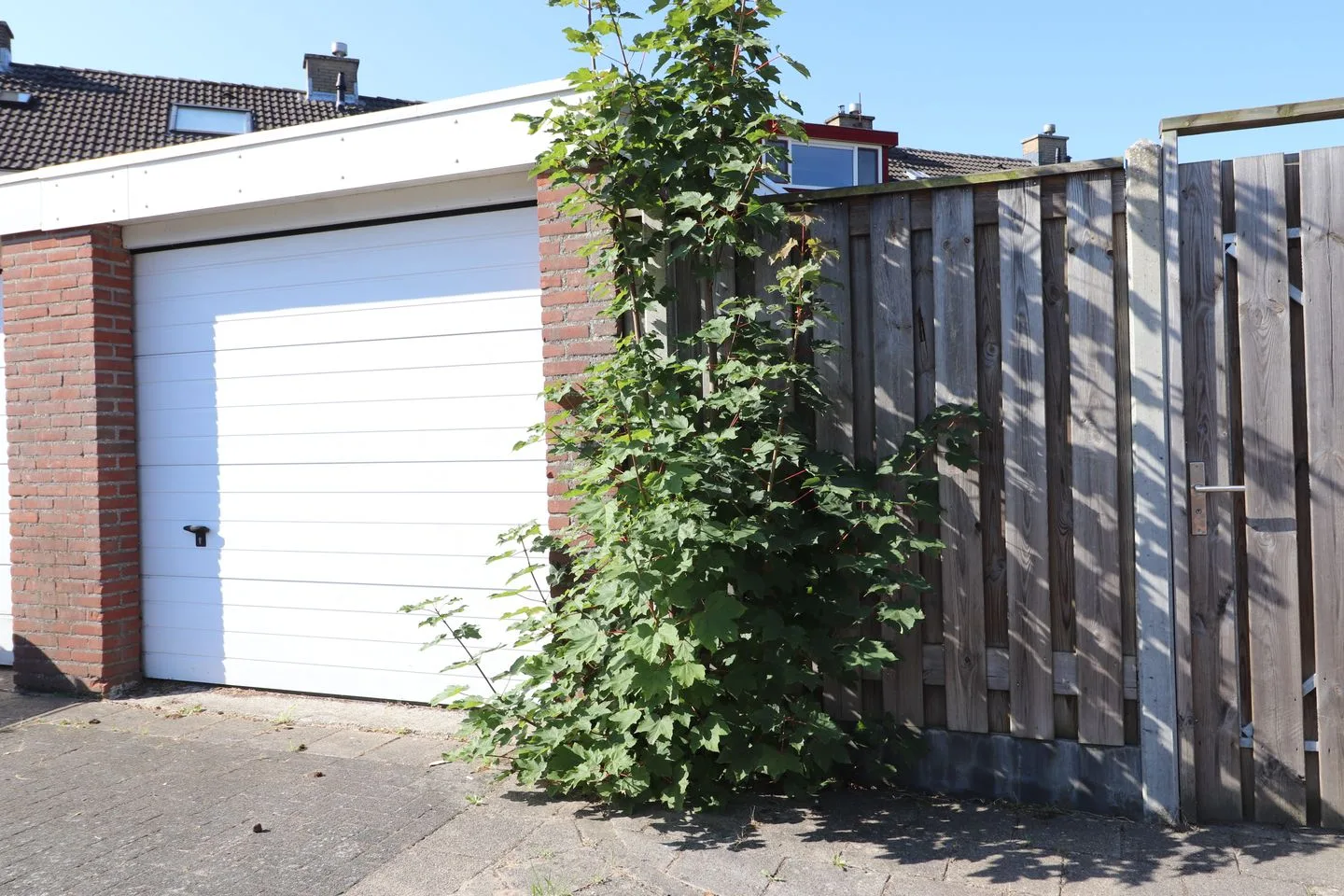 Bongerd 144 Lelystad thumbnail 34