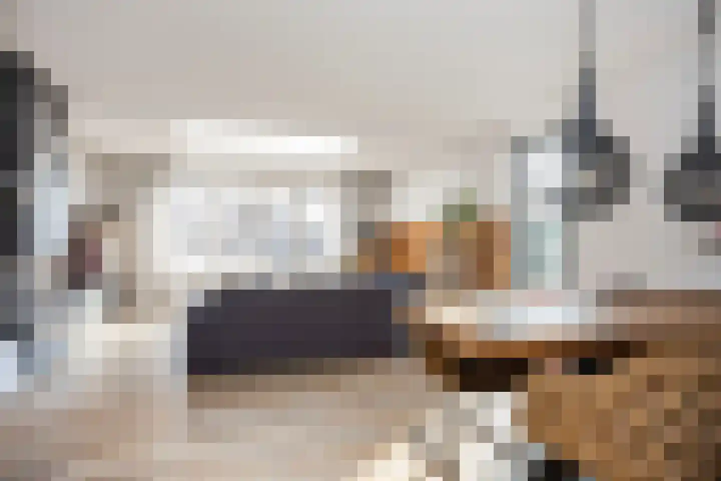 Bongerd 15 Borne thumbnail 10