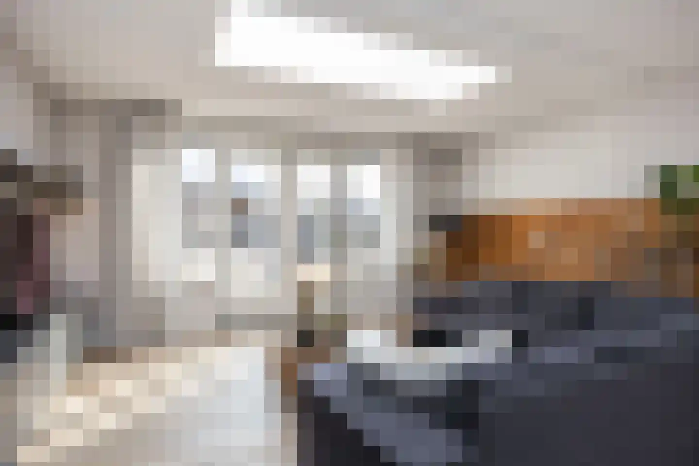 Bongerd 15 Borne thumbnail 11
